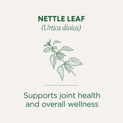 Nettle Leaf Tea