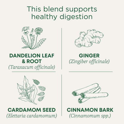 Dandelion Chai Probiotic Tea